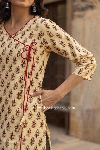 "Dhara" Bagru Hand Block Printed Cotton kurta